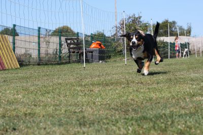 IMG_0329.JPG