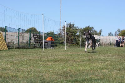 IMG_0345.JPG
