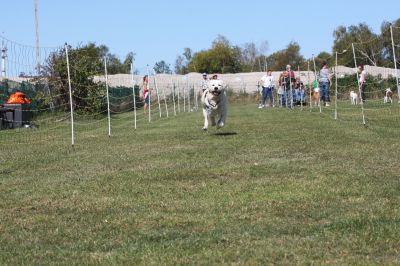 IMG_0445.JPG
