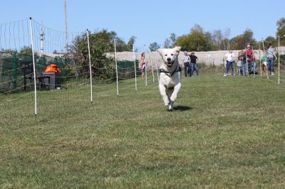 IMG_0448.JPG
