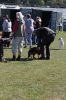 IMG_0658.JPG