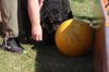 IMG_0735.JPG