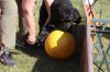 IMG_0742.JPG
