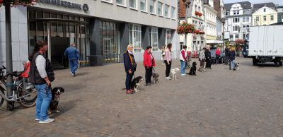 IMG-20190908-WA0011.jpg