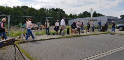 IMG-20190616-WA0003.jpg