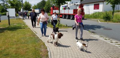IMG-20190616-WA0008.jpg