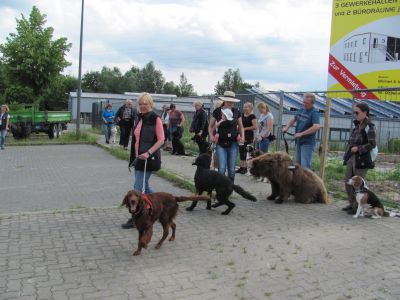 IMG-20190616-WA0024.jpg