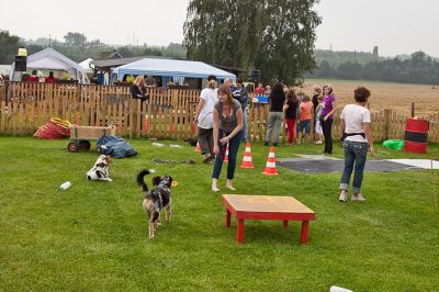20090816_111916_MG_2770.jpg