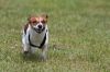 20090816_131450_MG_2747.jpg