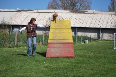 Agility_033.jpg