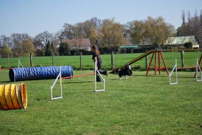 Agility_055.jpg