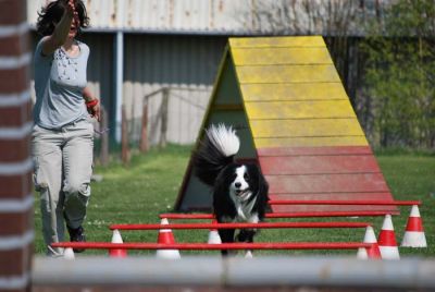 Agility_066.jpg