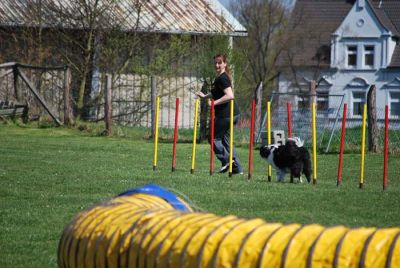 Agility_067.jpg