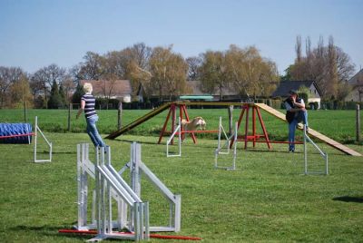 Agility_077.jpg