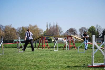 Agility_080.jpg