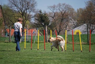 Agility_088.jpg