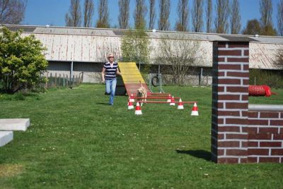 Agility_095.jpg