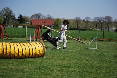 Agility_101.jpg