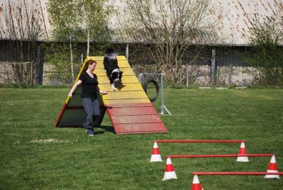 Agility_118.jpg
