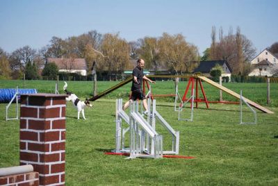 Agility_123.jpg