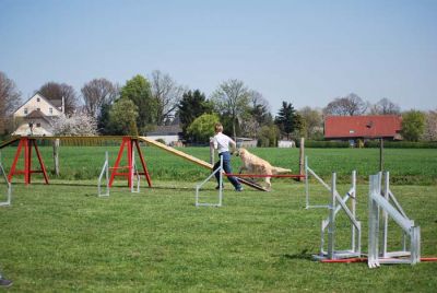 Agility_144.jpg