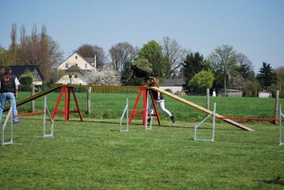 Agility_157.jpg