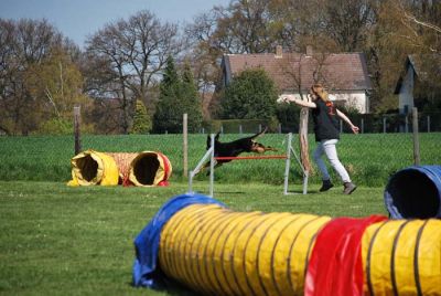 Agility_158.jpg
