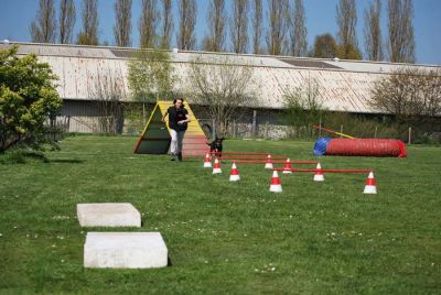 Agility_160.jpg
