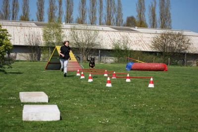 Agility_161.jpg