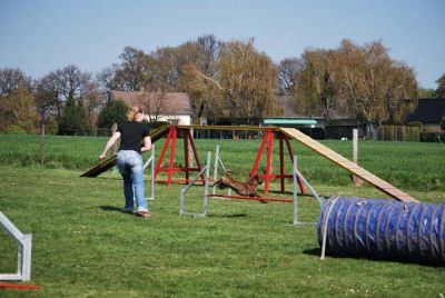 Agility_165.jpg