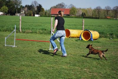 Agility_246.jpg