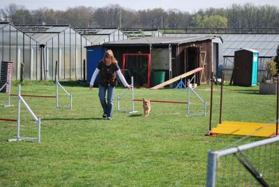 Agility_254.jpg