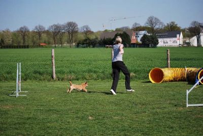 Agility_263.jpg