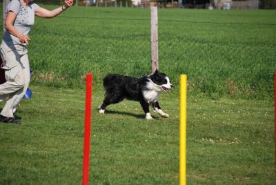 Agility_277.jpg