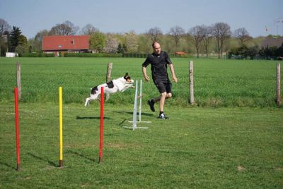 Agility_282.jpg