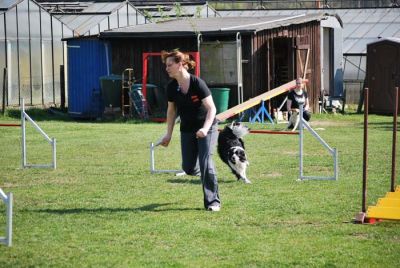 Agility_286.jpg