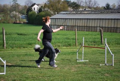 Agility_292.jpg