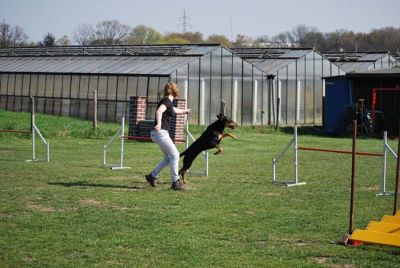 Agility_299.jpg