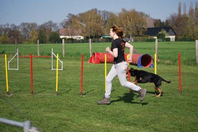 Agility_301.jpg