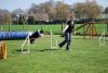 Filename=Agility_053.jpg
Filesize=107KiB
Dimensions=700x470
Date added=Apr 22, 2010 Agility_053.jpg