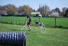 Filename=Agility_059.jpg
Filesize=95KiB
Dimensions=700x470
Date added=Apr 22, 2010 Agility_059.jpg