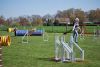 Filename=Agility_076.jpg
Filesize=94KiB
Dimensions=700x470
Date added=Apr 22, 2010 Agility_076.jpg
