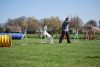 Filename=Agility_079.jpg
Filesize=87KiB
Dimensions=700x470
Date added=Apr 22, 2010 Agility_079.jpg