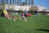 Filename=Agility_084.jpg
Filesize=101KiB
Dimensions=700x470
Date added=Apr 22, 2010 Agility_084.jpg