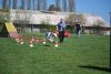 Filename=Agility_085.jpg
Filesize=101KiB
Dimensions=700x470
Date added=Apr 22, 2010 Agility_085.jpg