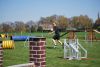 Filename=Agility_122.jpg
Filesize=86KiB
Dimensions=700x470
Date added=Apr 22, 2010 Agility_122.jpg