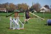 Agility_124.jpg