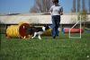 Agility_228.jpg