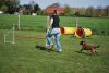 Agility_246.jpg