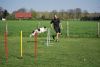 Filename=Agility_282.jpg
Filesize=86KiB
Dimensions=700x470
Date added=Apr 22, 2010 Agility_282.jpg